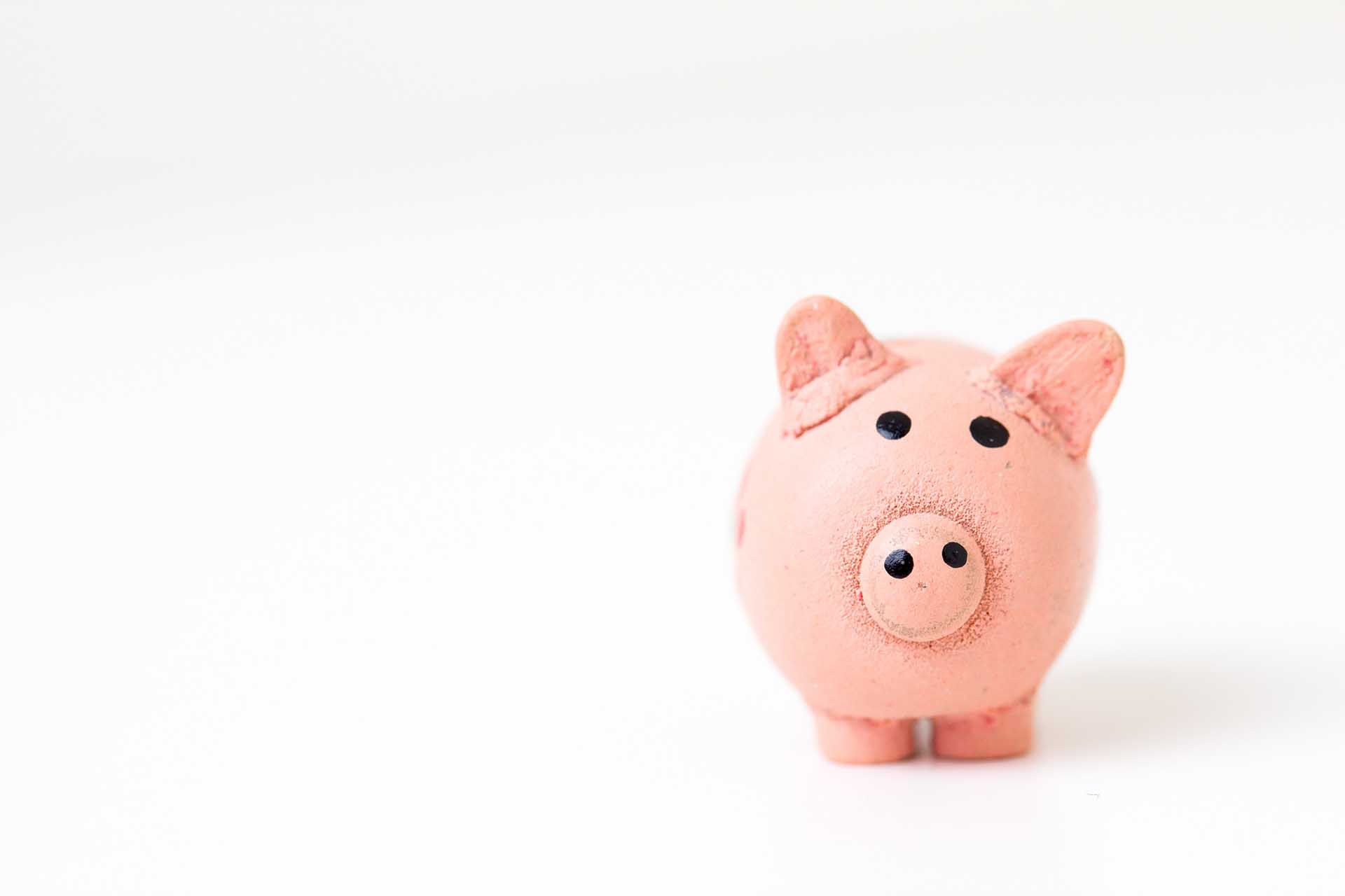 pink piggy bank for saving your money every month