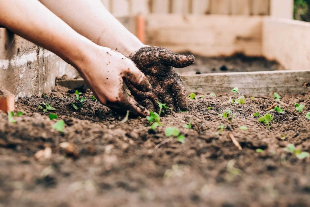 Monetize your green thumb with a gardening service business