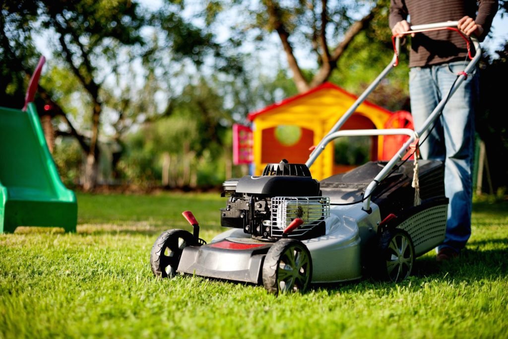 Man using motorized lawnmower to cut the grass