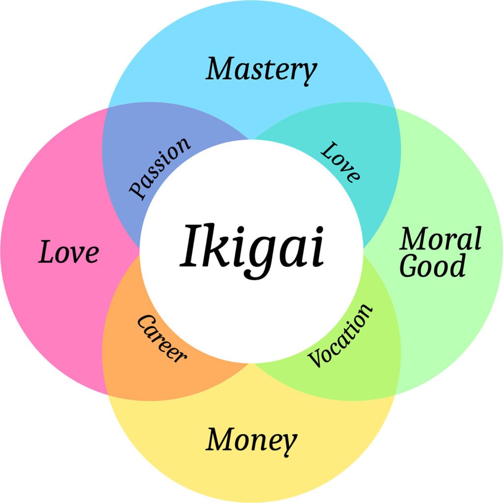 Search for ikigai to find your YouTube niche